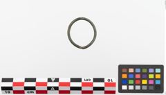 Foto von Bronzering (NHMW-PRAE-023762)